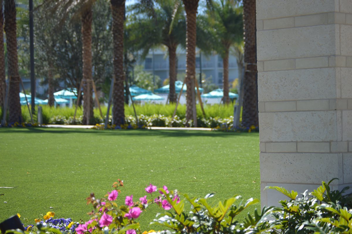 Artificial grass installation at a hotel or resort with tropical landscaping and limestone architecture